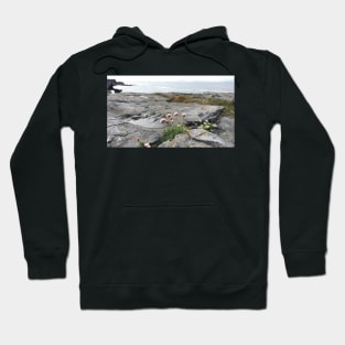 Resilience Hoodie